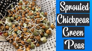 How to Sprout Chickpeas and Green Peas