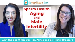 Sperm Health, Aging, and Male Infertility with Dr. Kristin Brogaard of Path Fertility