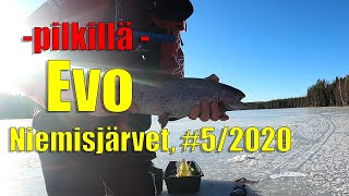 Evon Niemisjärvet #5/2020