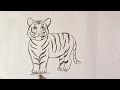 how to draw tiger step by step 🐯 easy tiger drawing 🐅 tiger drawing most simple ever