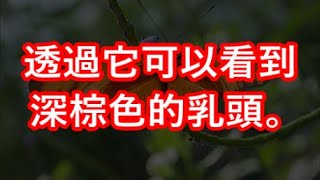 透過它可以看到深棕色的乳頭。 #江湖李白#X調查#wayne調查#人生經歷