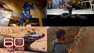 Recreating Dinosaurs; Photographing Wildlife; Up Close With Lions | 60 Minutes Full Episodes
