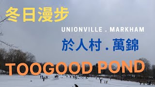 [ 冬日漫步] 於人村 . 萬錦 I Toogood Pond I Unionville I Markham