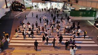 JR西日本　大阪駅　御堂筋口横断歩道　2021/5/15（4K UHD 60fps）