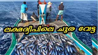 🔥 ലക്ഷദ്വീപിലെ ചൂര വേട്ട ... 😲😲😲 ||lakshadweep sea fishing ||smeesworld