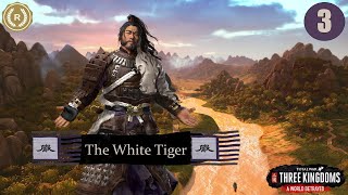 STARING DOWN SUN CE! Total War: Three Kingdoms – A World Betrayed - White Tiger Part #3
