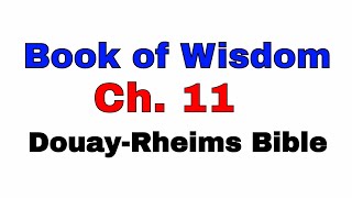 Wisdom Chapter 11