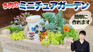 【着せ替えて楽しむ！】多肉植物のミニチュアガーデンを作ります　【フェアリーガーデン】【寄せ植え】【多肉植物】【園芸】【ガーデニング】