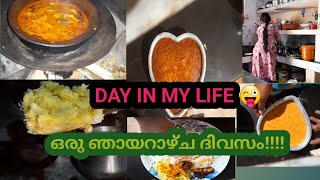 ഏട്ടന്റെ വീട്ടിലെ ഒരു ഞായറാഴ്ച | day in my life| me and my family vlogs