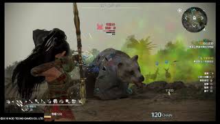 Dynasty Warriors 9 Companion Animals Ferocious Lightning Bear Capture 真三國無雙 8 支援獸 雷熊改 捕獲