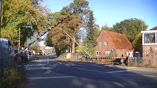 Spoorwegovergang Oldenburg (D) // Railroad crossing // Bahnübergang