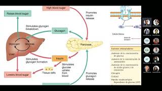 Seminario Taller Pancreatitis Aguda y Complicaciones