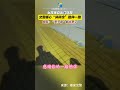 shorts 暖心碎碎念！小女娃独自出门迷路，交警“碎碎念”温暖一路