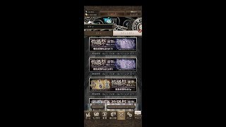 【シノアリス】 『惨禍祭 前衛後衛特化ガチャ　魔法武器PickUp（Ⅰ+Ⅱ） 』-250連-