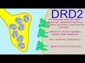 ap1 brain dopamine receptors