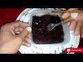 how to grow pistachio pista from seed germination pistachio beauty with gardening