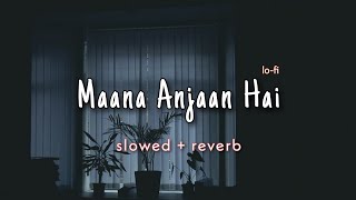 Maana Anjaan Hai | Slowed + Reverb| 90's Melodies Song |