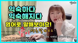 집에 있는게 익숙해지고 있어 영어로?  영어 1도 몰라도 요즘 생활영어 5문장 가능? [영어초보 탈출기]#42