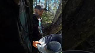 One of our Best Days Gold Panning