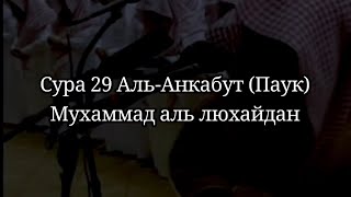 Сура 29 Аль-Анкабут (Паук). Мухаммад аль люхайдан Рамадан 1438, таравих намаз. #коран #аяты