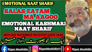 New Kashmari Naat Sharif / Moulana Muhammad Muzaffar Qadri Saab#tranding #youtubeshorts #india