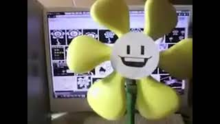 Howdy! i'm flowey,  DA FAN!!!!