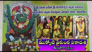 sri boothe samantha sri venkateswara swamy bhimadolu /mukkoti ekadashi /mani vlg/subcribe