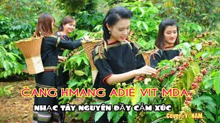 Čang Hmang Dliê Vit Mda | Nhạc Tây Nguyên Đầy Cảm Xúc | Cover Y Nam