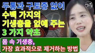 몸 속 기생충, 가장 효과적으로 제거하는 방법 [하늘마을 힐링센터]