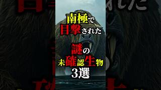 最後は本当に見てみたい 南極で目撃された謎の未確認生物3選 #shorts #都市伝説 #uma