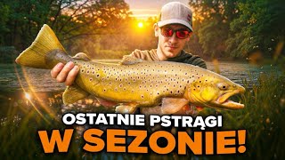 🎣😁👍 Ostatnie pstrągi w sezonie.