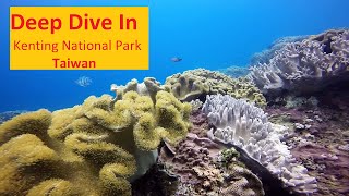 Southern Taiwan Best Kept Secret | Deep Dive in Kenting, Taiwan  |  墾丁國家公園