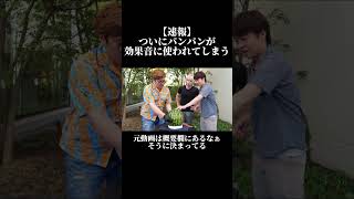 【速報】ついにパンパンが効果音に使われてしまう #shorts #ヒカマニ #hikakin_mania