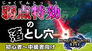 【MHRise】その弱点特効、発動してる？意外な落とし穴を解説！！