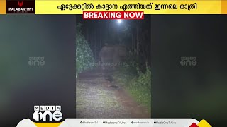 തിരുവനന്തപുരം വിതുരയിലെ ജനവാസമേഖലയില്‍ കാട്ടാന ഇറങ്ങി