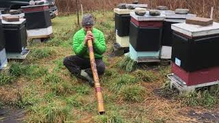 Fat Biking, NY Winter, Cayuga lake cliffs, Drone view, Didgeridoo circular breathing with the Bees.