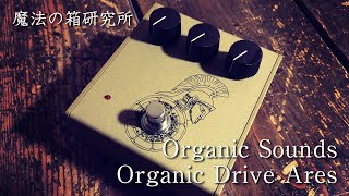 Organic Sounds Organic Drive Ares（アーレス） with Roland JC-40 | Sound Check 【魔法の箱研究所】