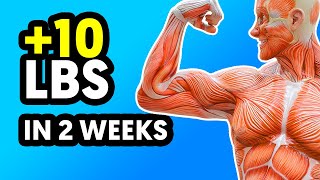 I Gained 10 Pounds of Muscle in 2 Weeks With These Foods