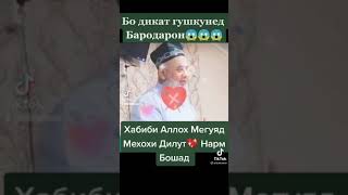 Хочи Мирзо Хабиби Аллох мегуяд мехохи дилат нарм бошад...