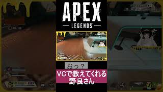 【APEX】ハチ仔壁ジャン練習！配信外でマッチした野良さんに教わった！～女性実況～#shorts