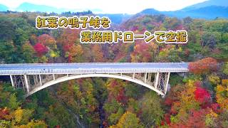 紅葉の絶景鳴子峡2018.10.3ヒルナンデスで放送１位に輝いた空撮動画です。宮城県大崎市鳴子峡「七色の断崖」【HD】鮮やかな紅葉🍁の色ですね。国土交通省飛行承認許可を頂いております。