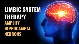Limbic System | Amplify Hippocampal Neurons | Regulation of Autonomic Nervous System | 528 Hz