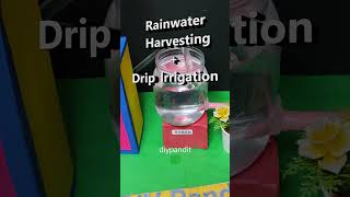 rainwater harvesting and drip irrigation working model - #shorts  | DIY pandit