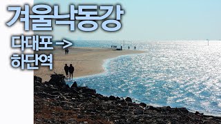 Beautiful korea-Nagdong-River, 겨울낙동강 다대포 해수욕장 하단역 구간 7 8km 바다 같은 낙동강