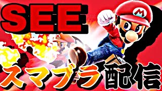 大晦日スマメイト【スマブラSP】