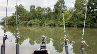 Livestream | Kayak Catfish and Carp Fishing