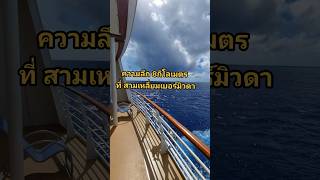 ลึก8 กิโลเมตร #นักดนตรีคนไทยบนเรือสําราญ #เรือสําราญ #งานเรือสําราญ  #วิวทะเล  #มหาสมุทร