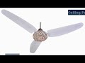 polo fans ceiling fans variety gujrat pakistan all pakistan 1dream tv pk