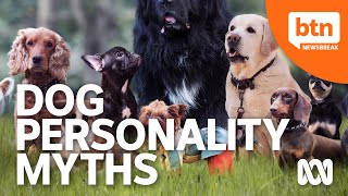 Do Different Dog Breeds Really Have Different Personalities?
