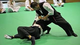 氣慎塾合気技法教伝会2018 京都旧武徳殿 主範演武 Kishinjuku Aiki Giho Kyodenkai 2018 Kyoto Kyu Butokuden Shuhan's Demo